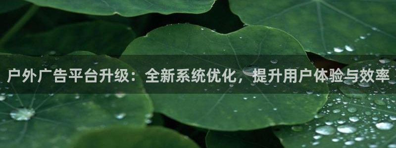 杏宇平台官网注册：户外广告平台升级：全新