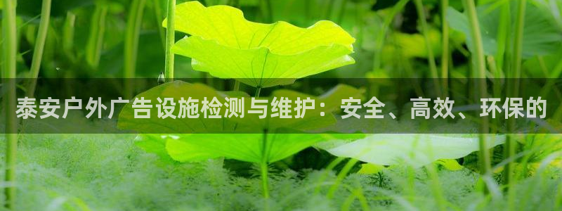 杏宇平台代理多少钱：泰安户外广告设施检测