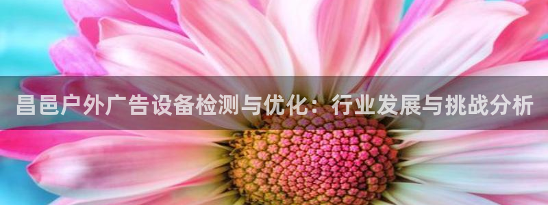 杏宇平台代理多少钱一个月：昌邑户外广告设