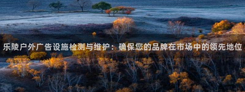 杏宇代理注册：乐陵户外广告设施检测与维护：确保您的品牌在市场中的领先地位