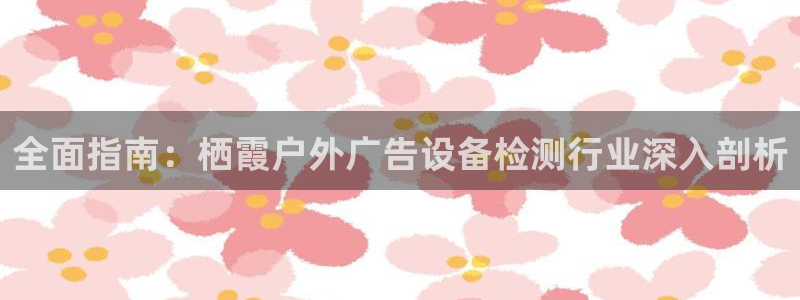 杏宇平台怎么样赚钱：全面指南：栖霞户外广告设备检测行业深入剖析