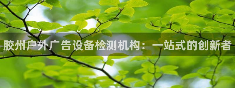 杏宇平台总代理是谁：胶州户外广告设备检测机构：一站式的创新者