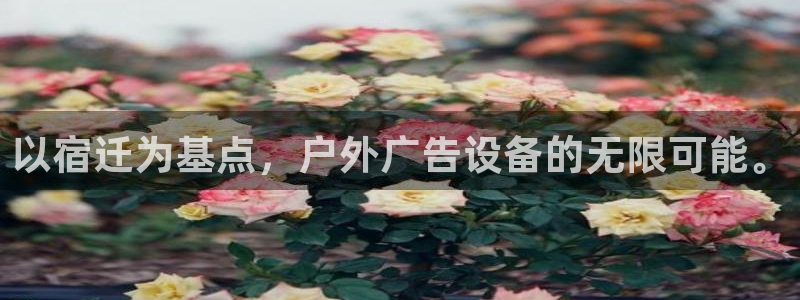 杏宇平台登录步骤：以宿迁为基点，户外广告