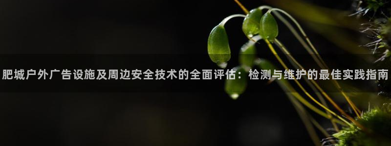 杏宇平台代理多少钱一次：肥城户外广告设施