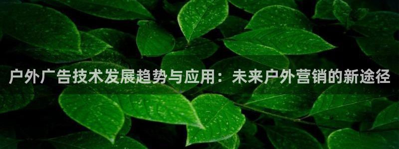 杏宇平台测速链接：户外广告技术发展趋势与应用：未来户外营销的新途径