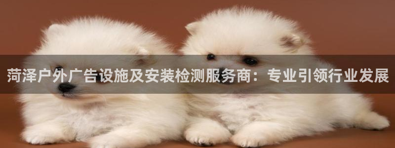 杏宇平台官网注册：菏泽户外广告设施及安装检测服务商：专业引领行业发展