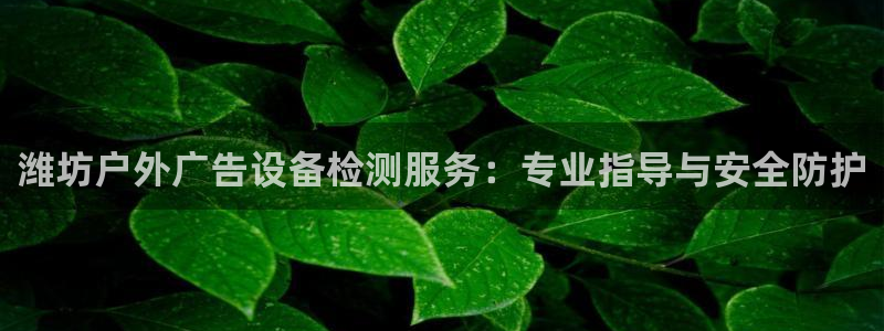 杏宇平台测速链接：潍坊户外广告设备检测服务：专业指导与安全防护
