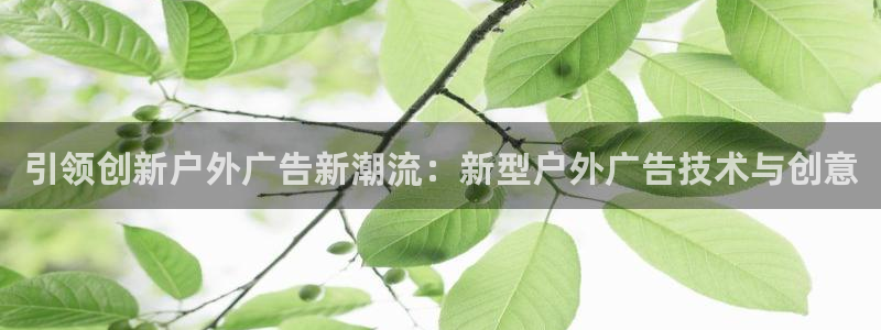 杏宇平台代理多少钱一个月：引领创新户外广告新潮流：新型户外广告技术与创意