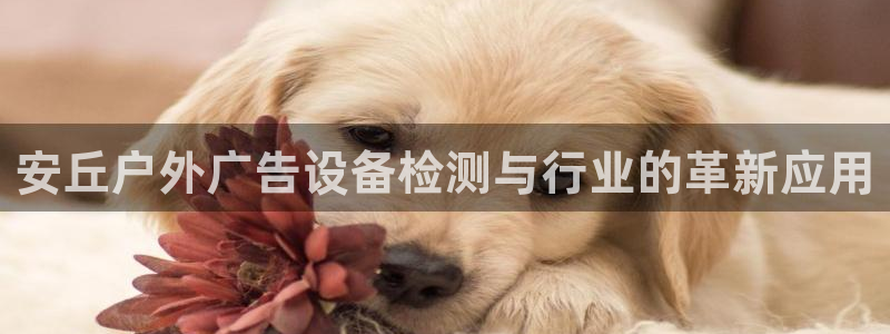 杏宇平台代理怎么样赚钱：安丘户外广告设备检测与行业的革新应用