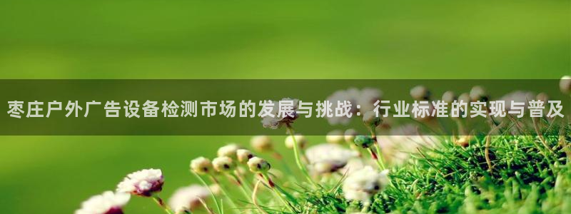 杏宇平台注册地址：枣庄户外广告设备检测市场的发展与挑战：行业标准的实现与普及