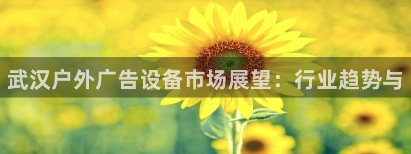 杏宇平台怎么样知乎：武汉户外广告设备市场展望：行业趋势与