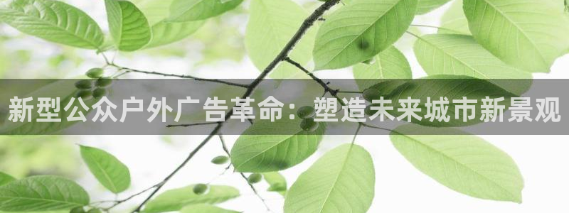 杏宇平台注册登录：新型公众户外广告革命：塑造未来城市新景观