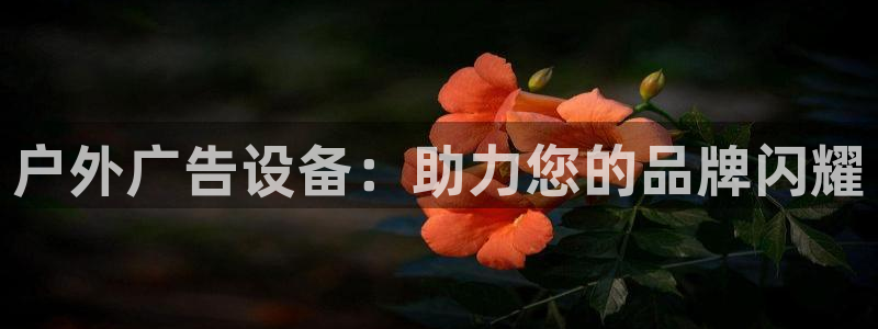 杏宇平台代理怎么样啊