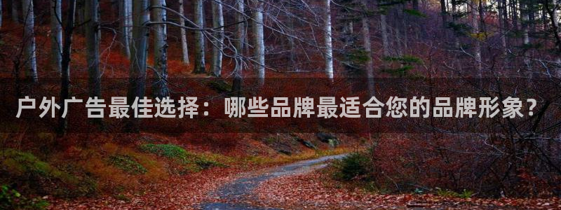 杏宇平台登录步骤：户外广告最佳选择：哪些品牌最适合您的品牌形象？