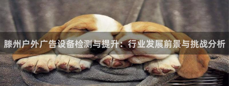 杏宇平台好吗：滕州户外广告设备检测与提升：行业发展前景与挑战分析