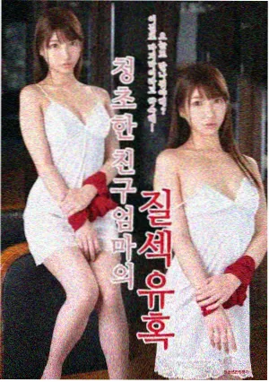 高清电视剧免费观看最新